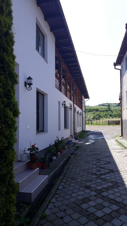 Hotel Pensiunea Georgiana Şieu Exterior foto